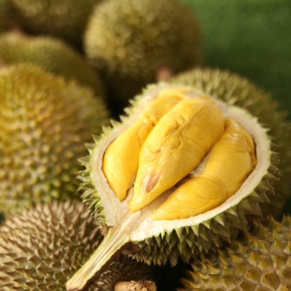 Durian Musangking 1 kg