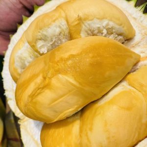 Durian Black Thorn 1 Kg